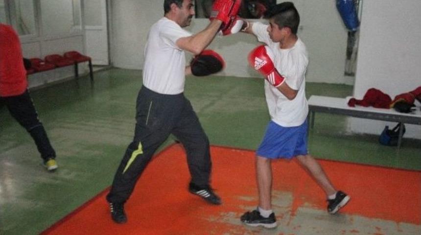 Cizreli Boks&ouml;rler İddialı