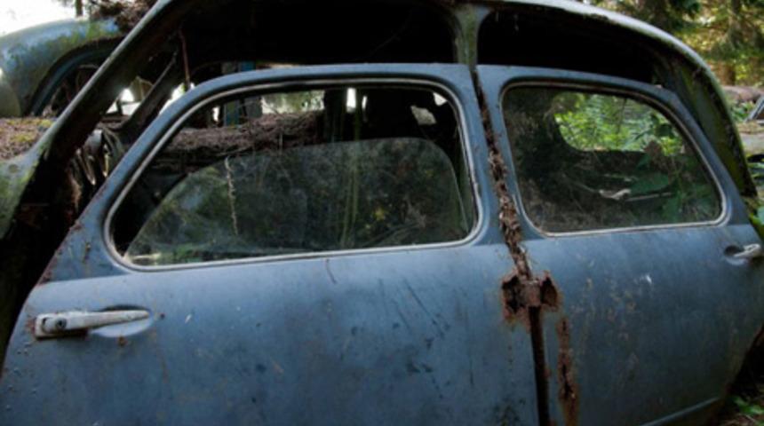 Ormanda saklanan 500 arabanın sırrı