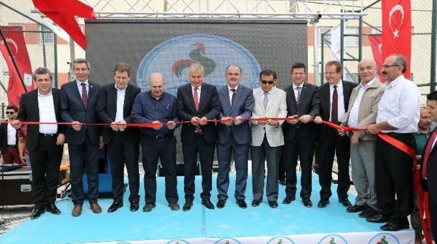 Pamukkale Belediyesi&rsquo;nden Akhan&rsquo;a 550 Bin Tl&rsquo;lik Yatırım