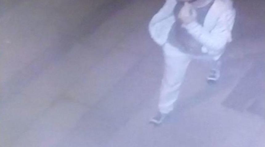 Hırsızlar, Saz Grubunun Orgunu &Ccedil;aldı