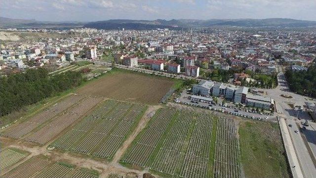 Sivas’a Kayak Simülasyon Merkezi Yapılacak