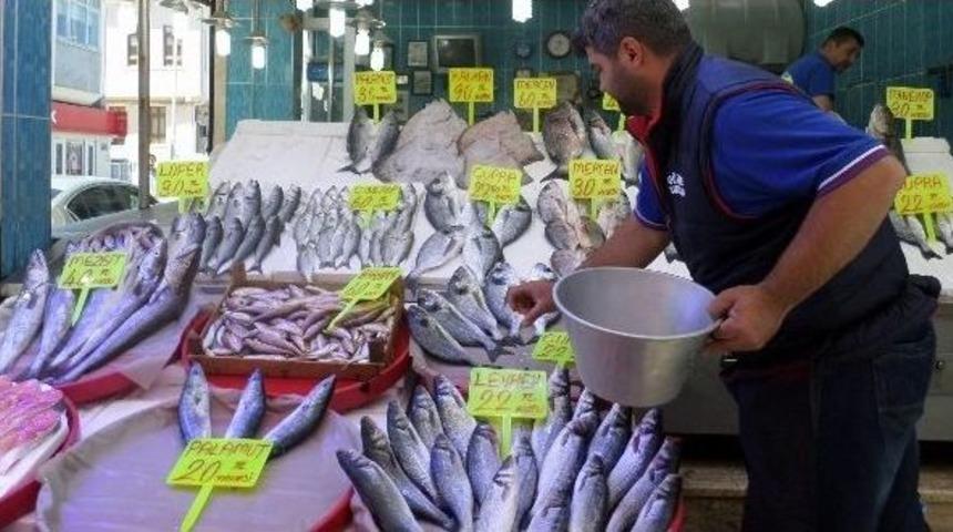 Sezon Kapandı, Balık Fiyatları Tavan Yaptı