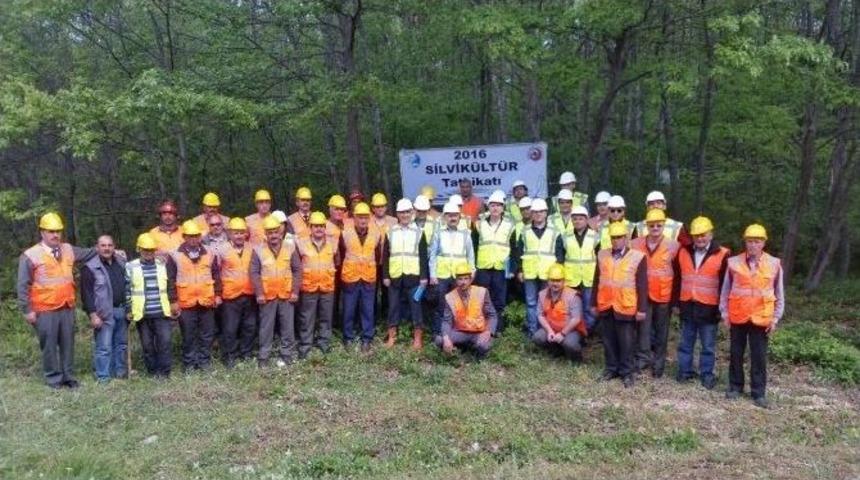 Silvik&uuml;lt&uuml;r Tatbikatı