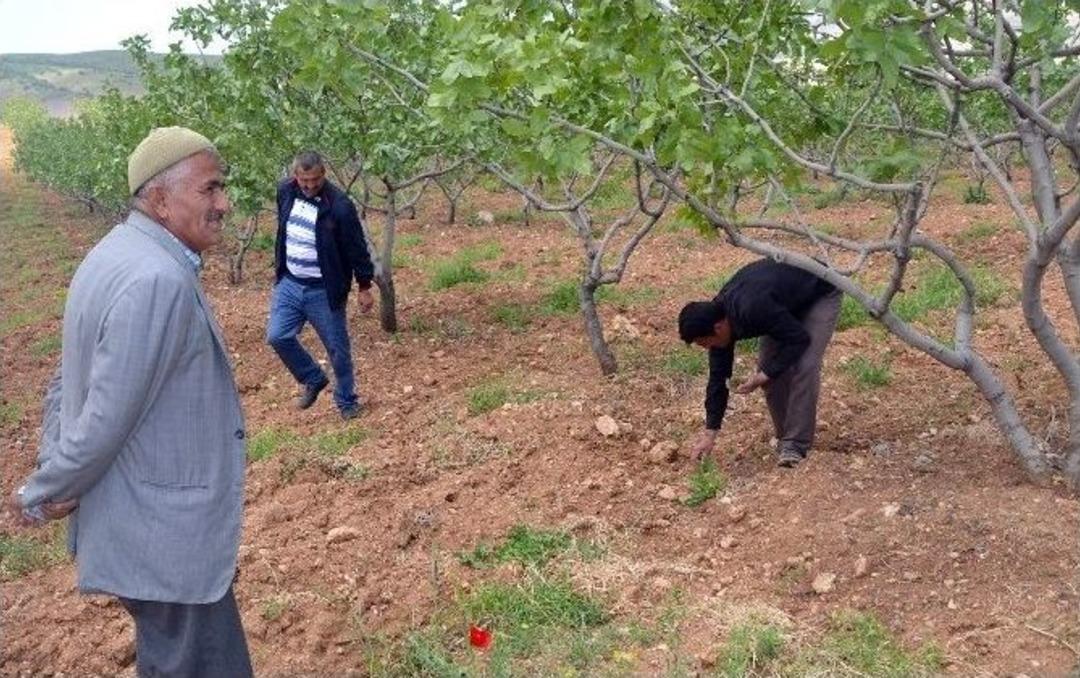 (&ouml;zel Haber) Siirtli &Ccedil;ift&ccedil;iler Kabusu Yaşadı