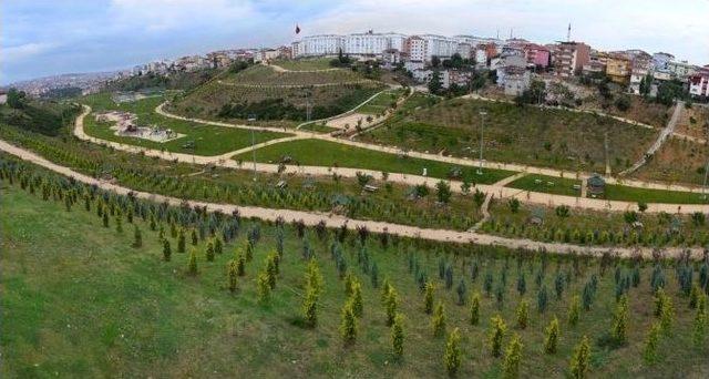 B&uuml;y&uuml;kşehir Yeni Hafriyat Sahaları A&ccedil;ıyor 1