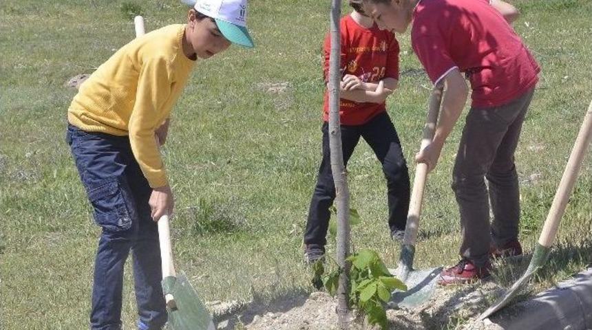 Tepebaşı&rsquo;nda Bayram Gibi Ağa&ccedil;landırma
