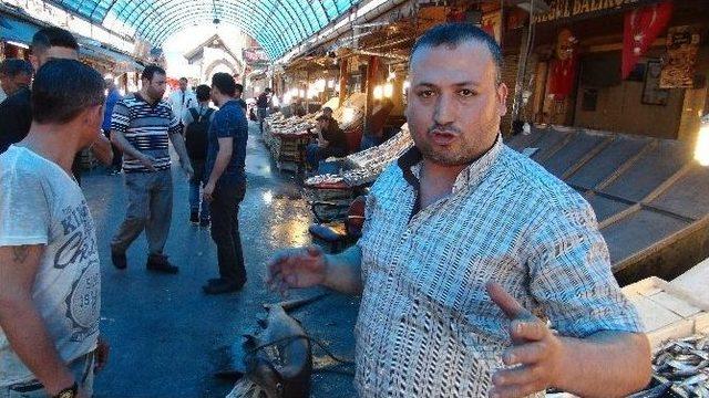 Mersin&rsquo;de Balık&ccedil;ıların Ağına K&ouml;pek Balığı Takıldı 1