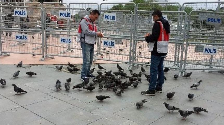 Taksim Meydanı G&uuml;vercinlere Kaldı