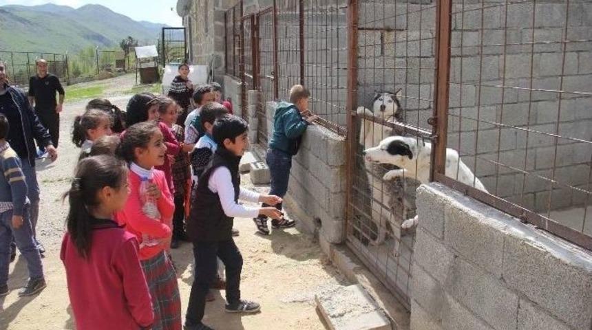 &Ouml;ğrenciler Hayvan Barınağını Gezdi