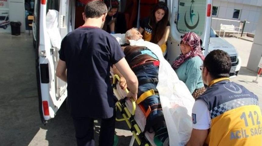 Domuza Ateş Ederken Arkadaşını Vurdu