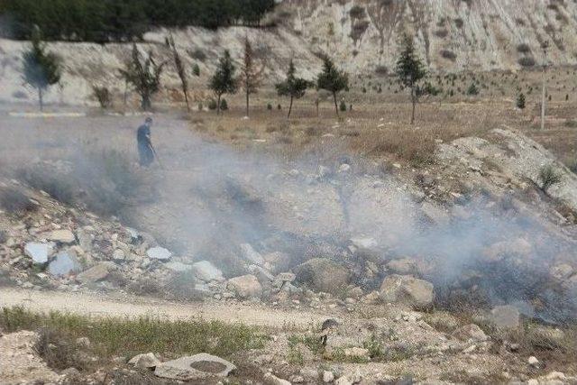 Ormanlık Alanda Çıkan Yangın Korkuttu