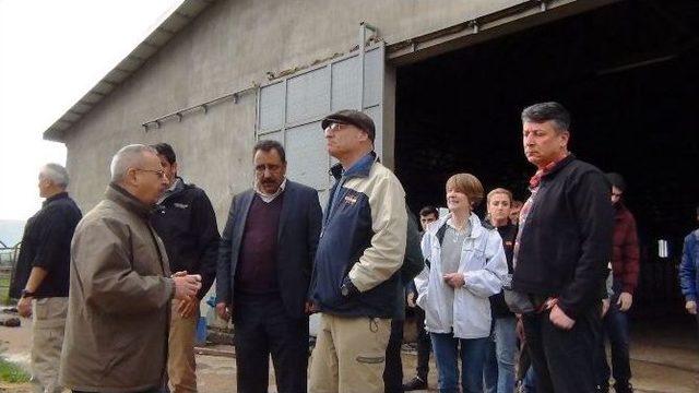 Abd Ankara Büyükelçiliği Başmüsteşarı Erciş’te