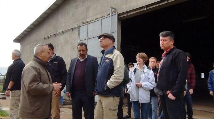 Abd Ankara Büyükelçiliği Başmüsteşarı Erciş’te