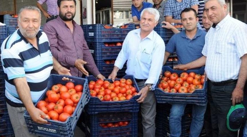 (&ouml;zel Haber) Kış Sezonunda 3,5 Liraya Kadar Satılan Domatesin Kilosu, İhracat Azalınca 50 Kuruşa D&uuml;şt&uuml;
