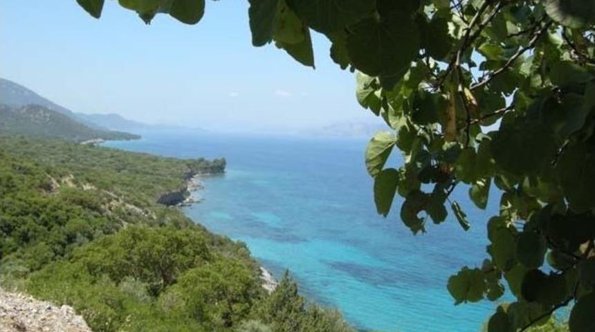 Milli Park İki Yıl Aradan Sonra Yine Sorun Oldu