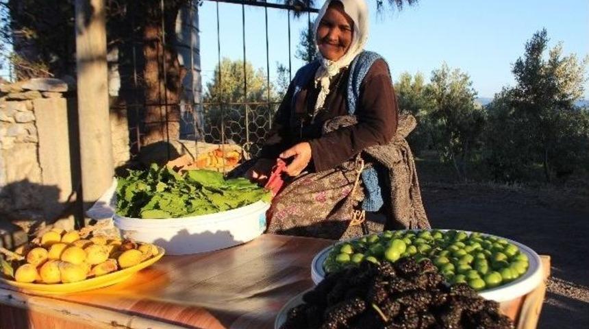 Kendini Organik &Uuml;r&uuml;ne Adadı