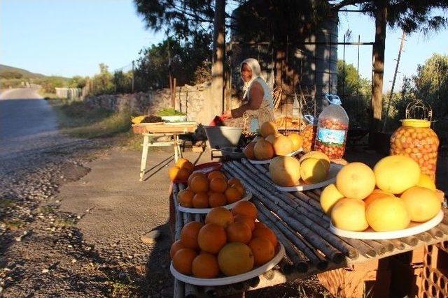 Kendini Organik Ürüne Adadı