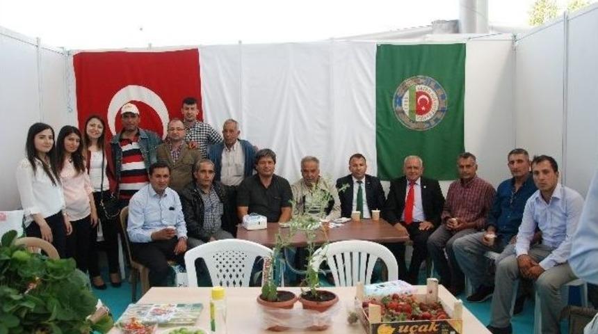 Tarım G&uuml;nleri Silifkeli &Uuml;reticileri Umutlandırdı