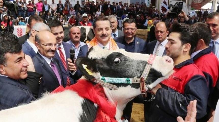 Bakan &Ccedil;elik&rsquo;in M&uuml;jdeleri Sekt&ouml;r&uuml; Hareketlendirdi