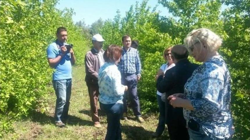 Sığla Almanya&rsquo;da Tanıtılacak