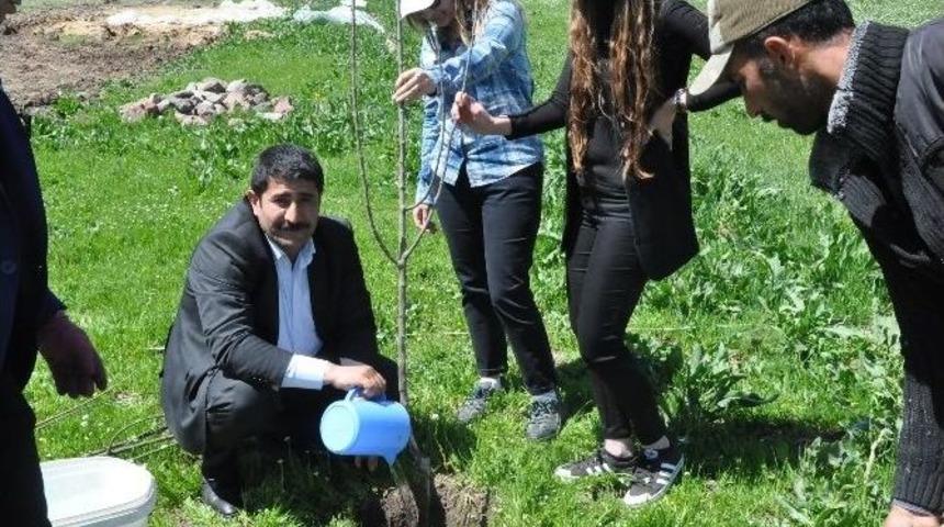 Patnos&rsquo;ta 400 Elma Fidanı Dikildi