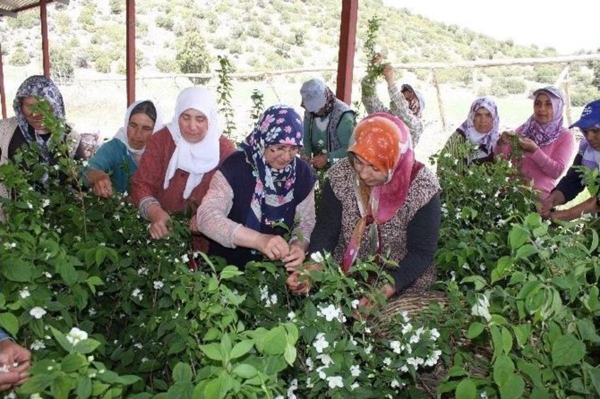 Kadın &Ccedil;ift&ccedil;iler Parf&uuml;meri Sekt&ouml;r&uuml;ne El Attı