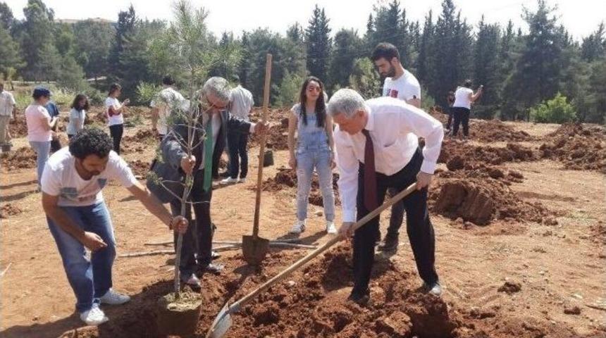 Kan Bağışı Sonrası Her Şehit Adına Bir Fidan
