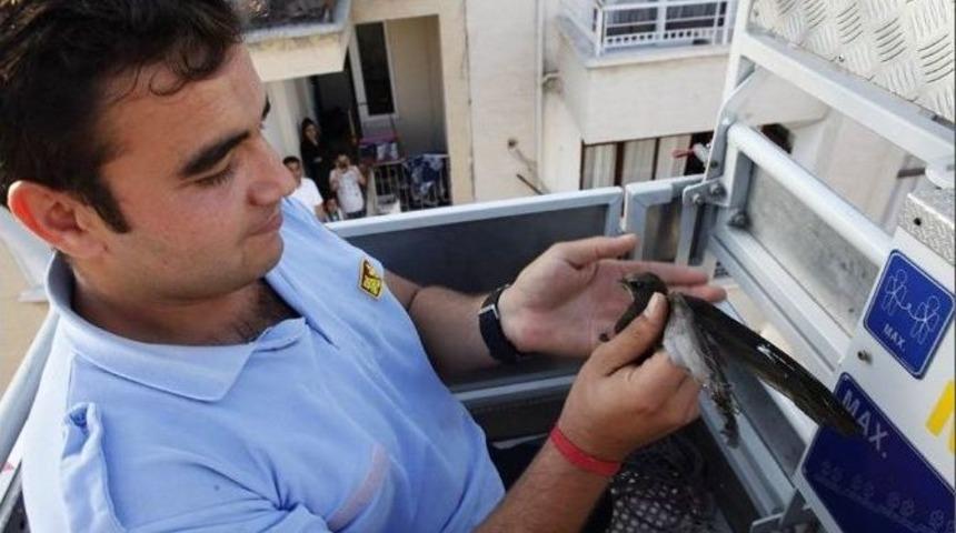 Balkonda Asılı Kalan Ebabil Kuşunu İtfaiye Ekipleri Kurtardı