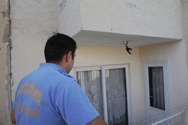 Balkonda Asılı Kalan Ebabil Kuşunu İtfaiye Ekipleri Kurtardı 2