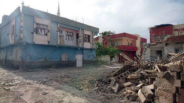 Nusaybin Sokaklarındaki Tuzaklar İmha Ediliyor