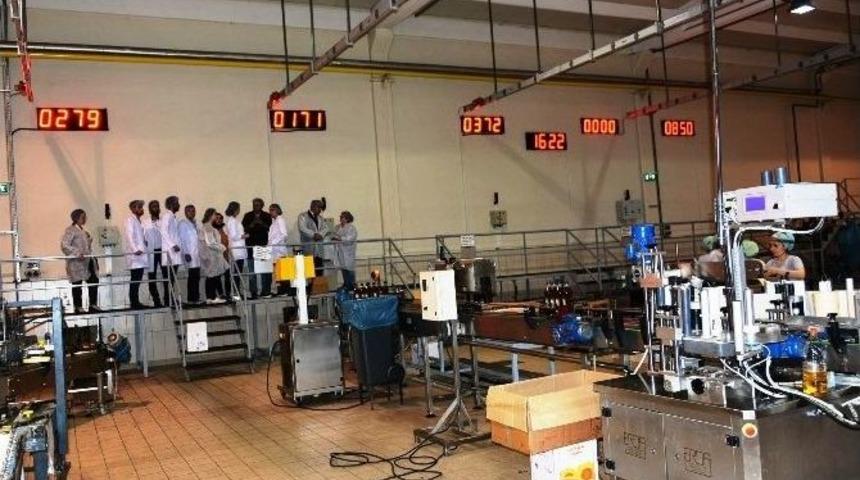 Mcb&uuml;&rsquo;l&uuml; &Ouml;ğrenciler Teoride &Ouml;ğrendiklerini Pratikte G&ouml;rd&uuml;