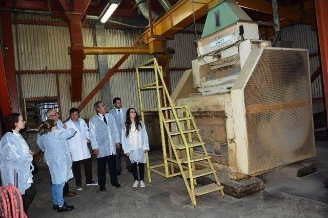 Mcb&uuml;&rsquo;l&uuml; &Ouml;ğrenciler Teoride &Ouml;ğrendiklerini Pratikte G&ouml;rd&uuml; 2