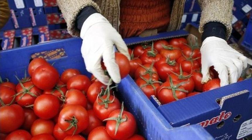 Antalya&rsquo;da Erken Isınan Havayla Bollaşan &Uuml;r&uuml;n &Uuml;reticiyi Zarar Ettirdi