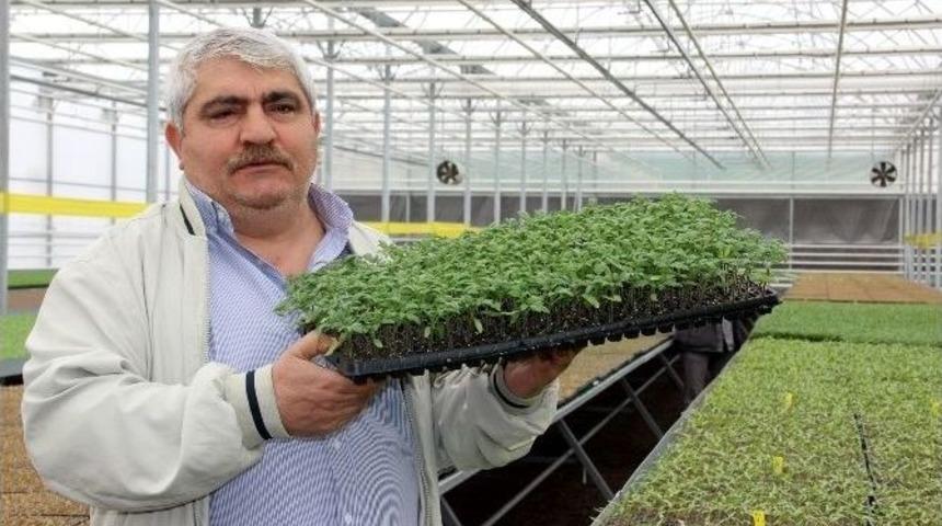 Yalova&rsquo;da Vatandaşa Ve &Ccedil;ift&ccedil;ilere 500 Bin Fide