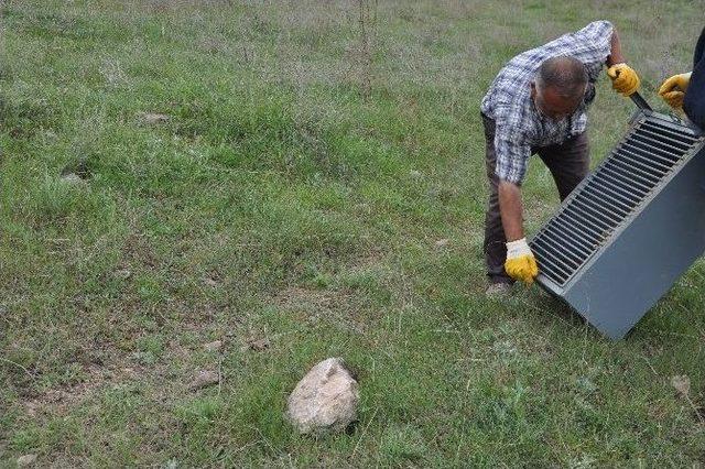 Evin Bahçesinde Yakalanan Sansar, Doğaya Bırakıldı 3