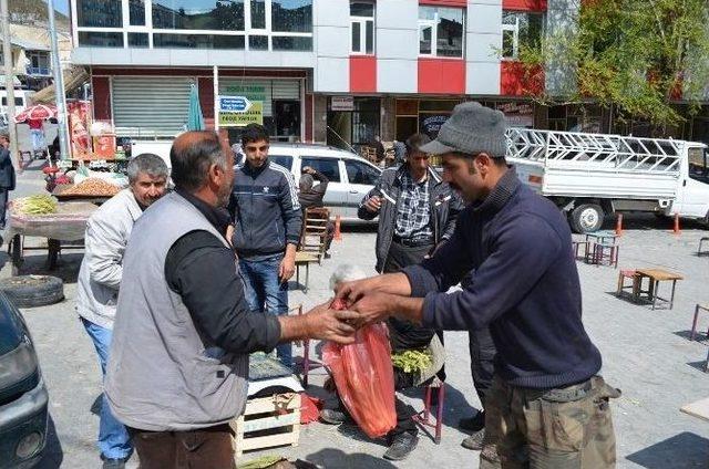 Şifalı Otlar İşsizlerin Geçim Kaynağı Oldu