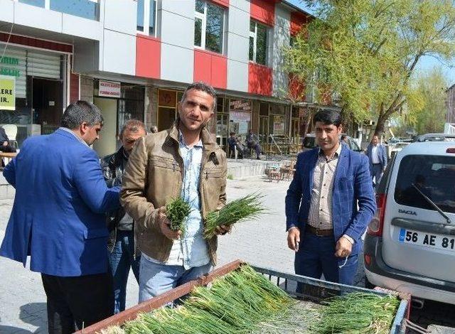 Şifalı Otlar İşsizlerin Geçim Kaynağı Oldu