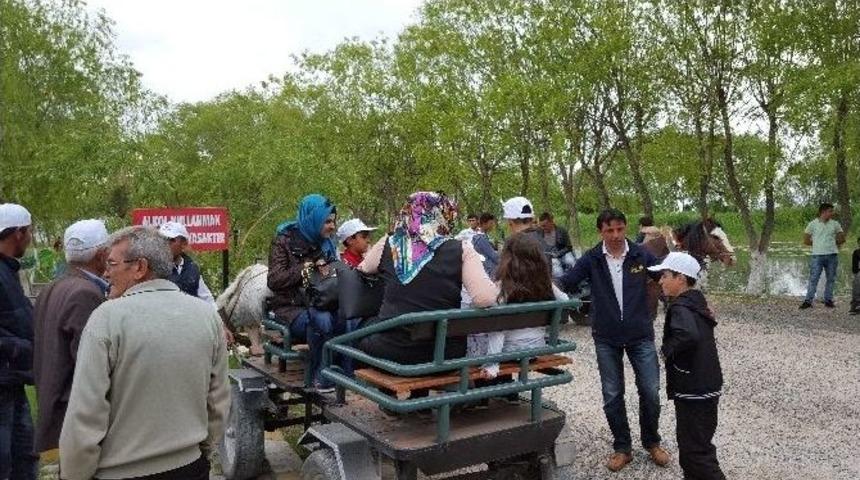 Sultan Sazlığı Fotosafari&rsquo;ye B&uuml;y&uuml;k İlgi