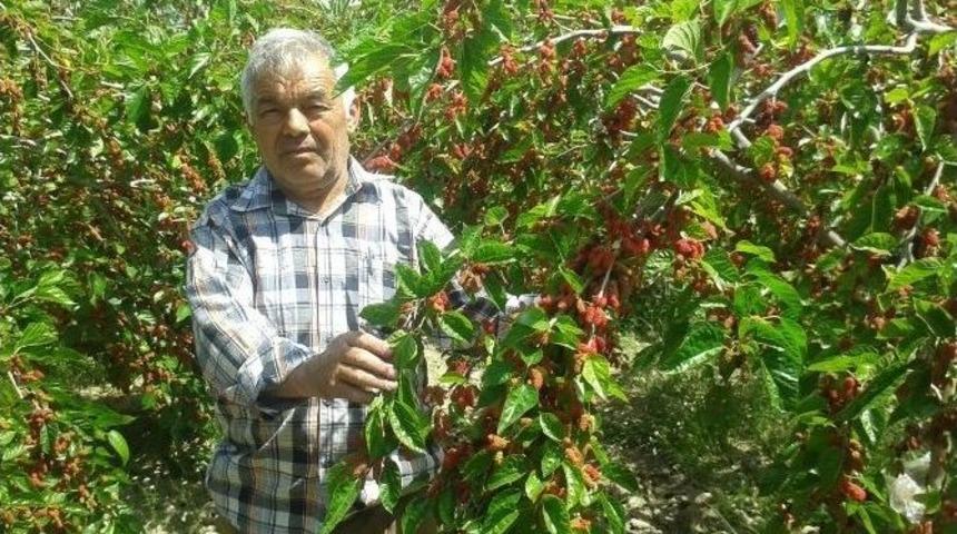 Fransız Terzi, Memleketindeki &Ccedil;ift&ccedil;ilere &Ouml;rnek Oldu