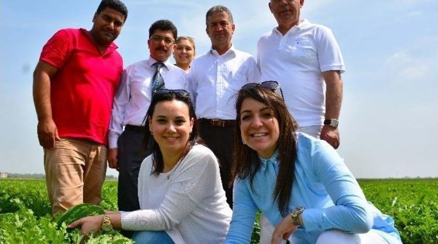 Karpuzda Erken Hasadı &ldquo;ham Karpuz Timi&rdquo; &Ouml;nleyecek