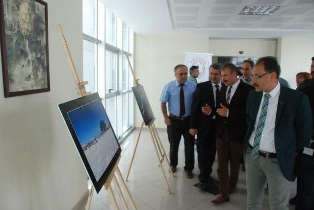 Hastalara Stres Attıran Sergi 1