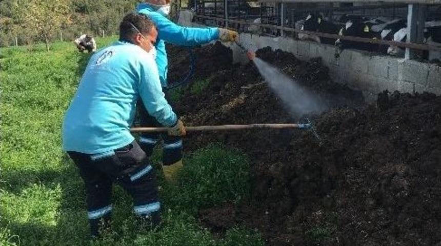 Merkezefendi İlçede İlaçlama Yaptı