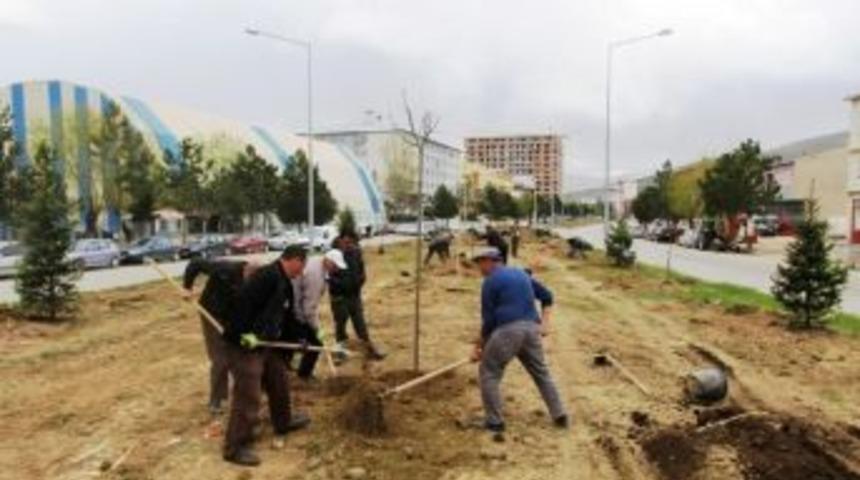 Kavşak Ve Orta Ref&uuml;jlere Yeni İmaj