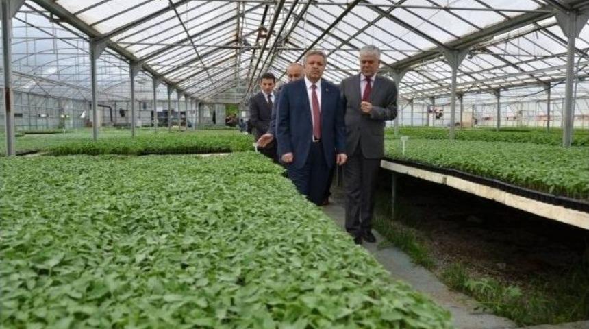 Vali Kahraman, &Ccedil;ift&ccedil;ileri Fide Almaya Davet Etti