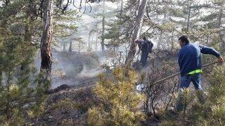 Çorum’da Orman Yangını