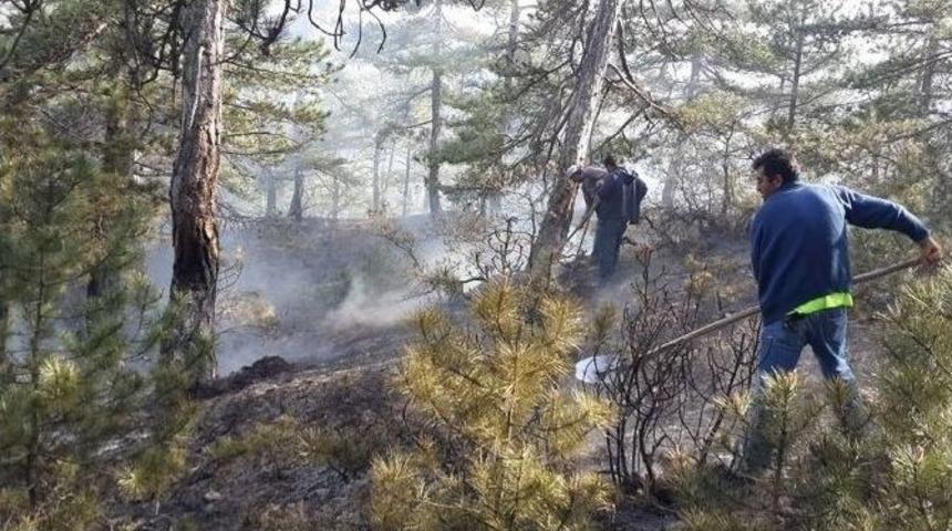 Çorum’da Orman Yangını