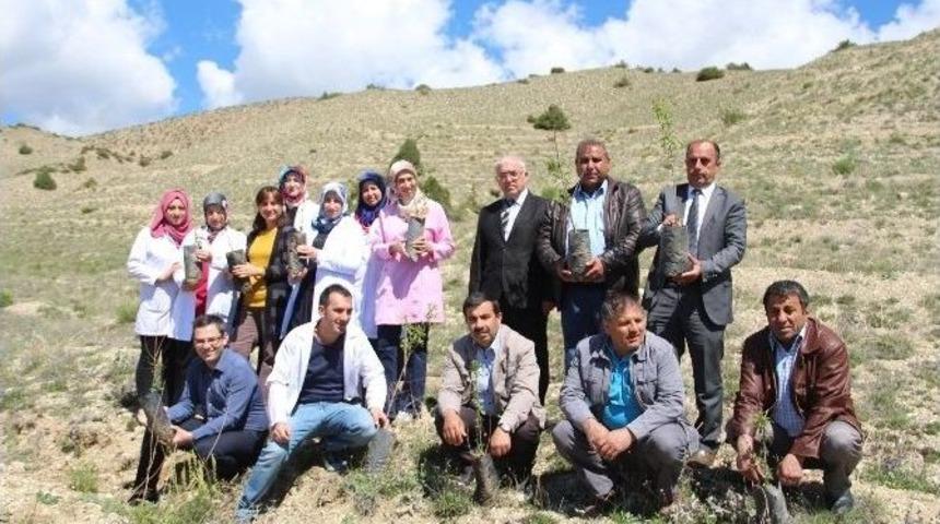 3 Mayıs D&uuml;nta Astım G&uuml;n&uuml;n&uuml;nde Fidan Diktiler