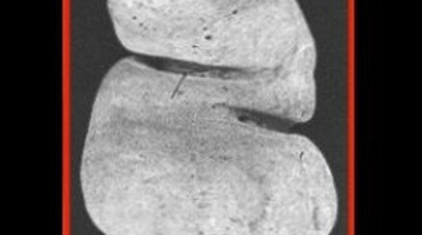 İnsanların i&ccedil;inden neler &ccedil;ıktı!