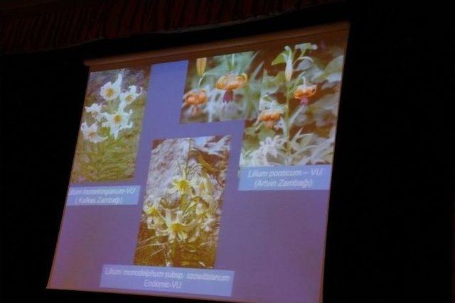 Artvin’in 2 Bin 727 Bitkisi Kitaba Dönüştürüldü 1