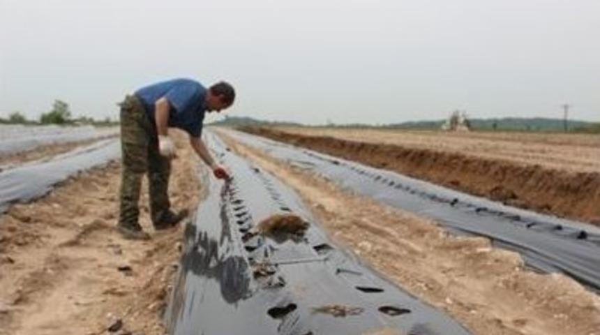 &ldquo;&ccedil;ilek &Uuml;retimini Geliştirme Projesi&rdquo; Kapsamında &Uuml;reticilere &Ccedil;ilek Tesisi